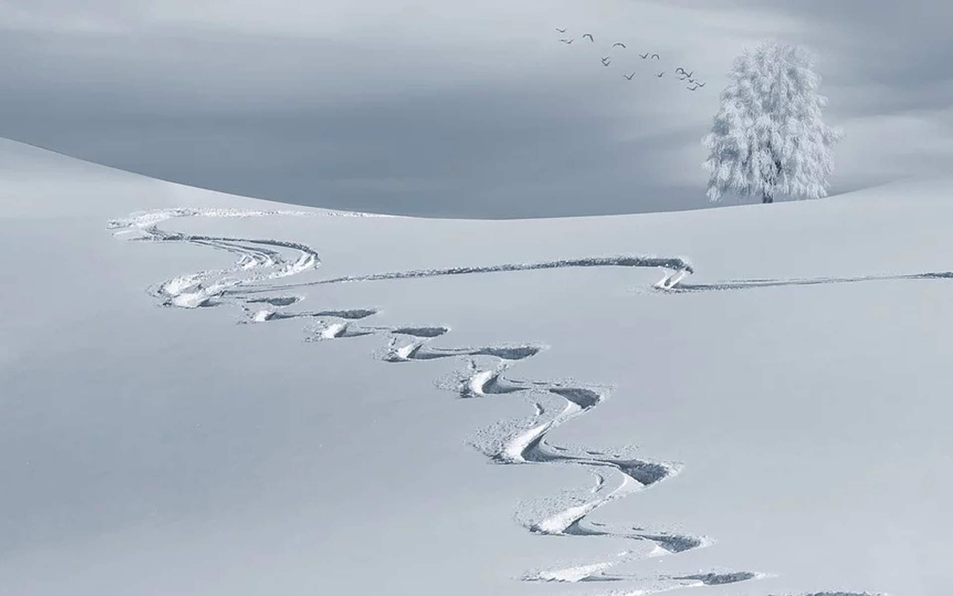 王丽坤清纯靓丽雪景写真图片图片