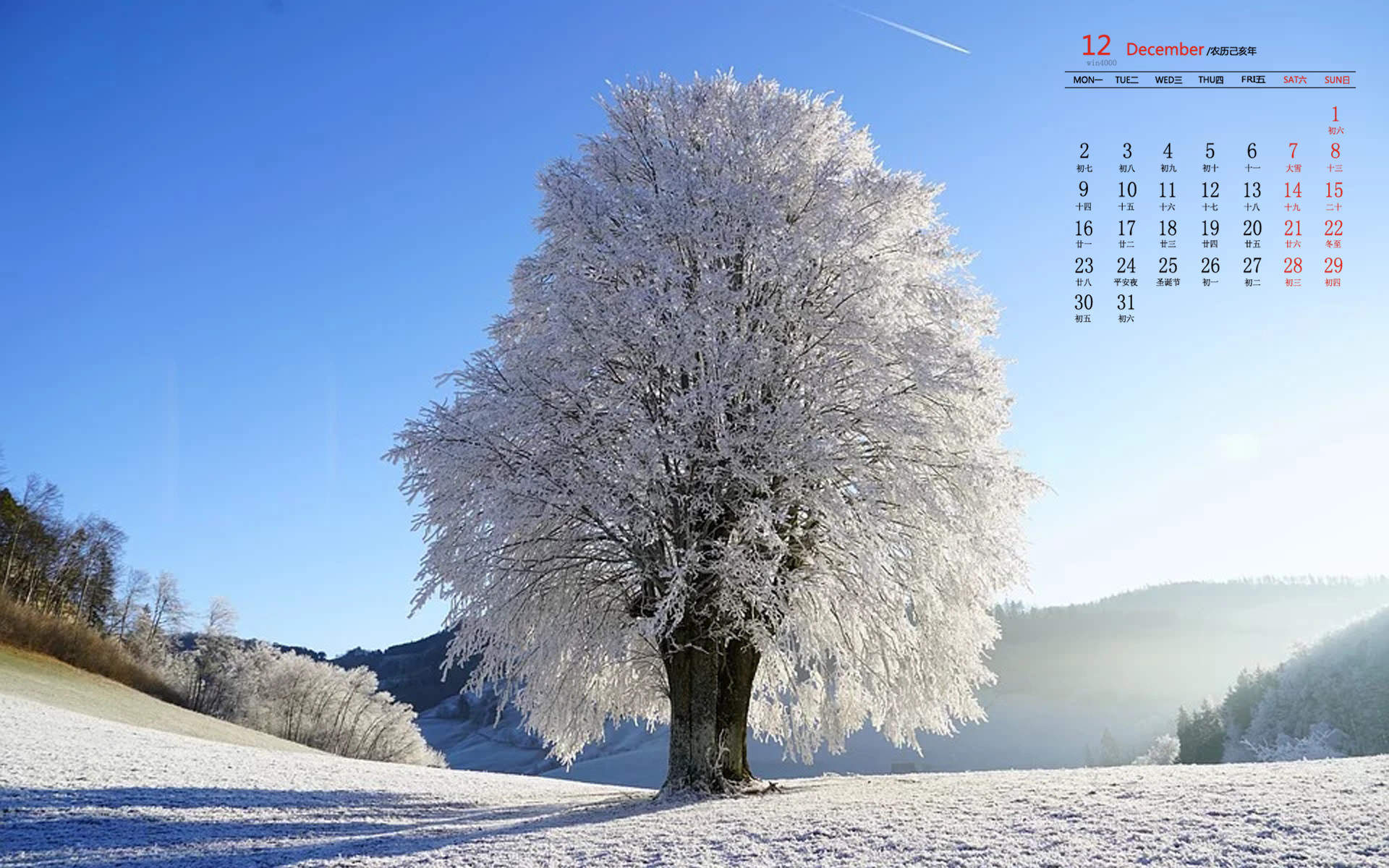 宁心露脐装雪景自拍图片图片