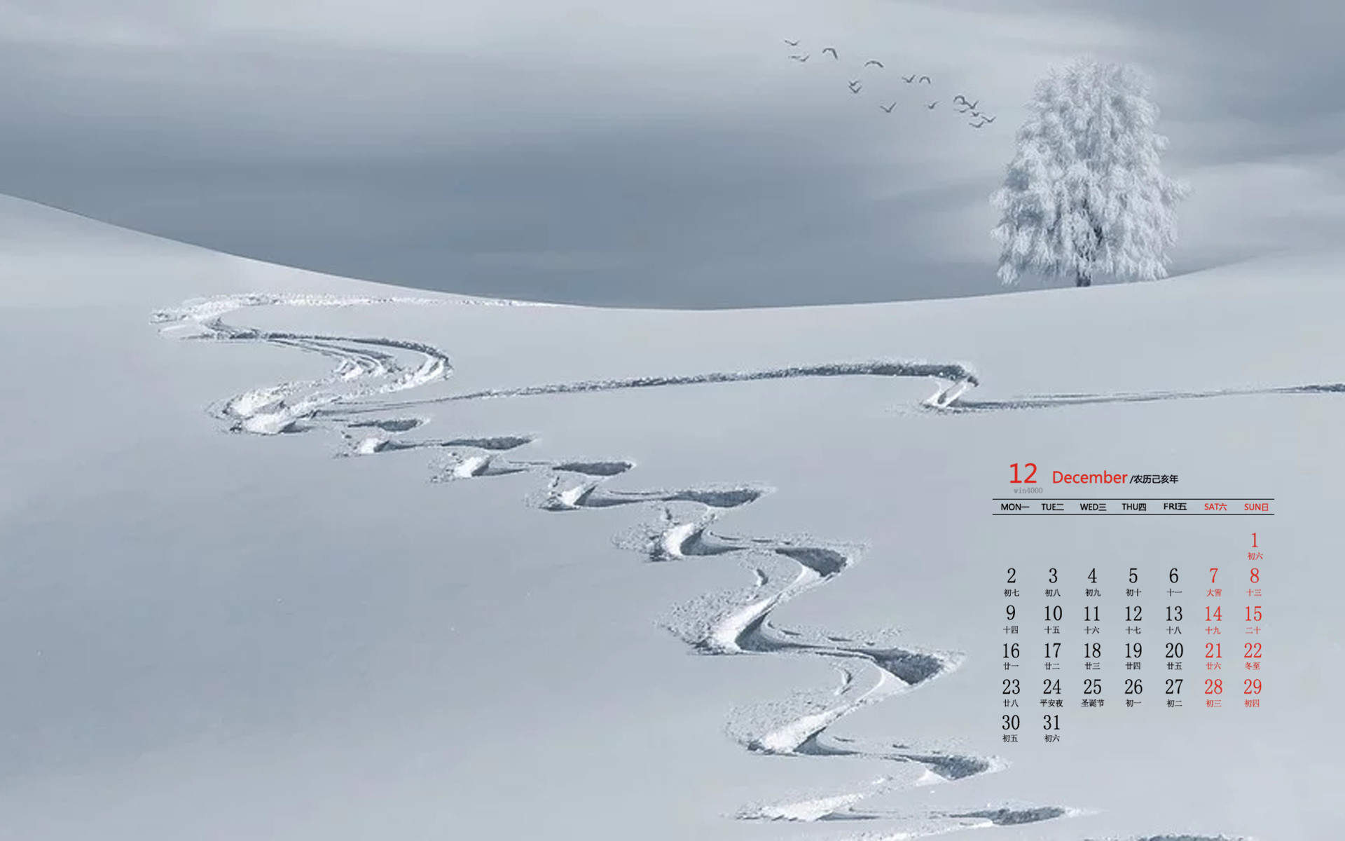 韩丹彤唯美气质雪景照图片图片