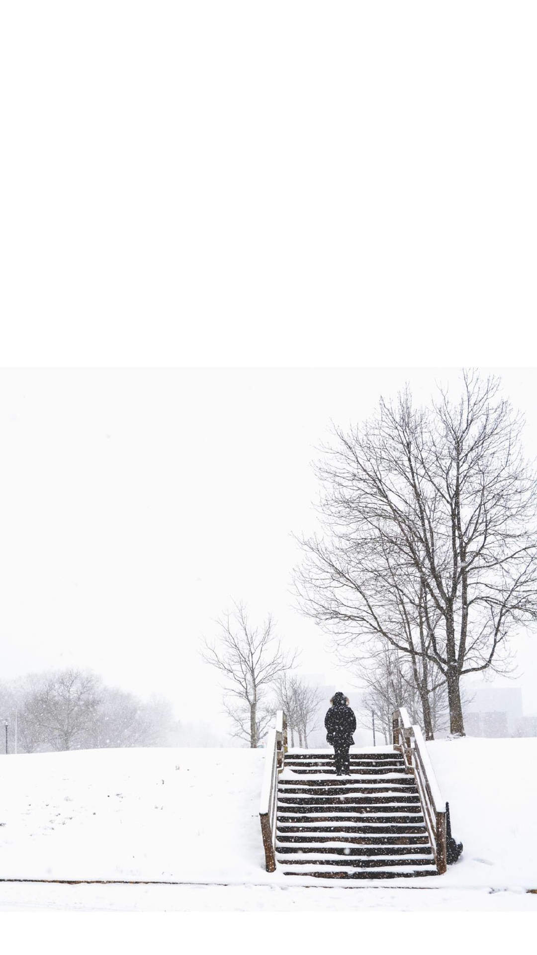 2016年11月日历冬天树木白雪风景精选壁纸下载图片