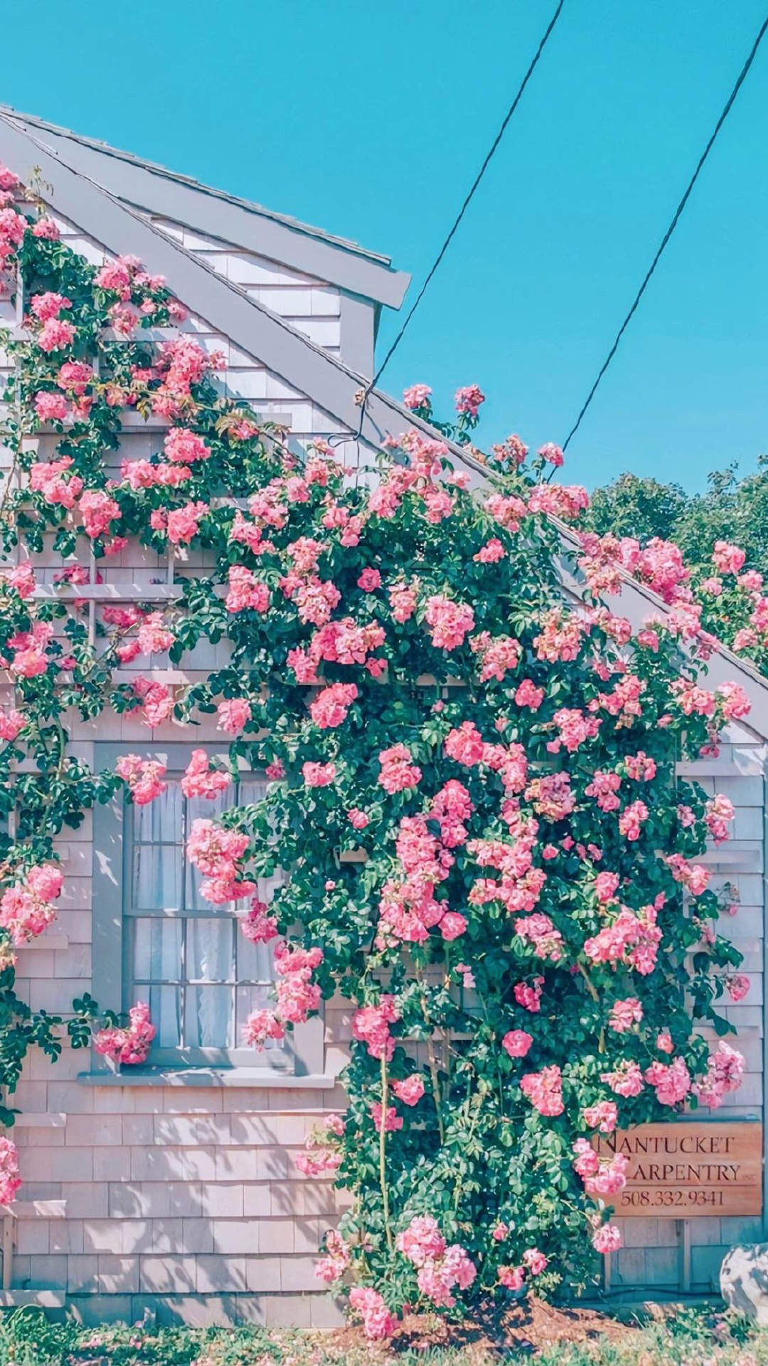 花团锦簇唯美风景图片手机壁纸图片