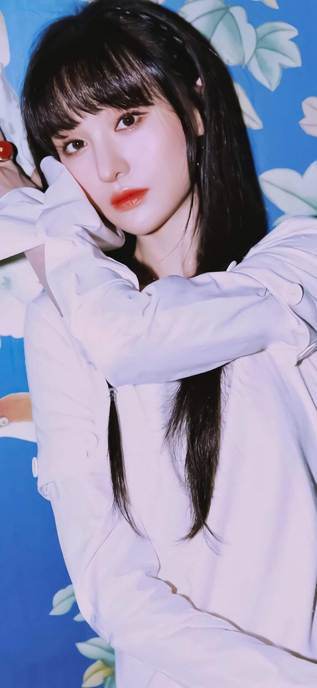 高清中国内地女演员郑爽泡面刘海清爽元气写真图片图片