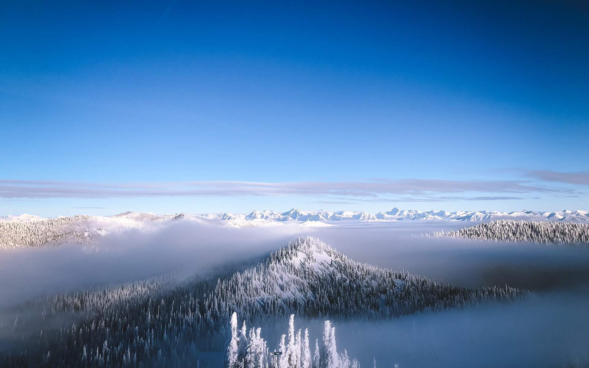邓伦故宫雪景帅气写真图片图片