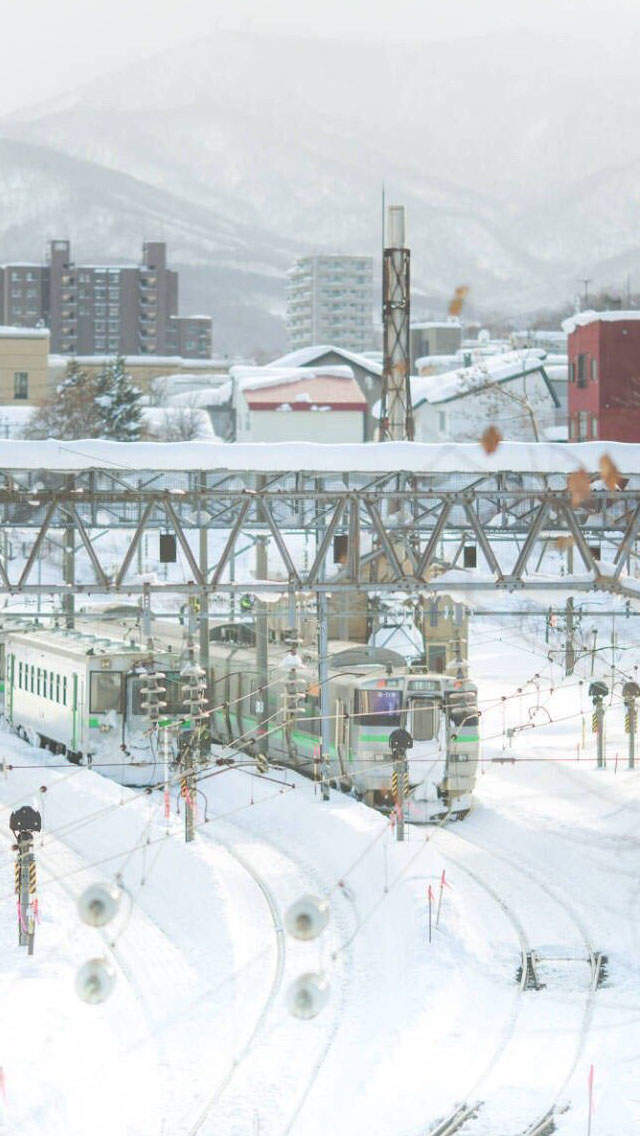 宁心露脐装雪景自拍图片图片