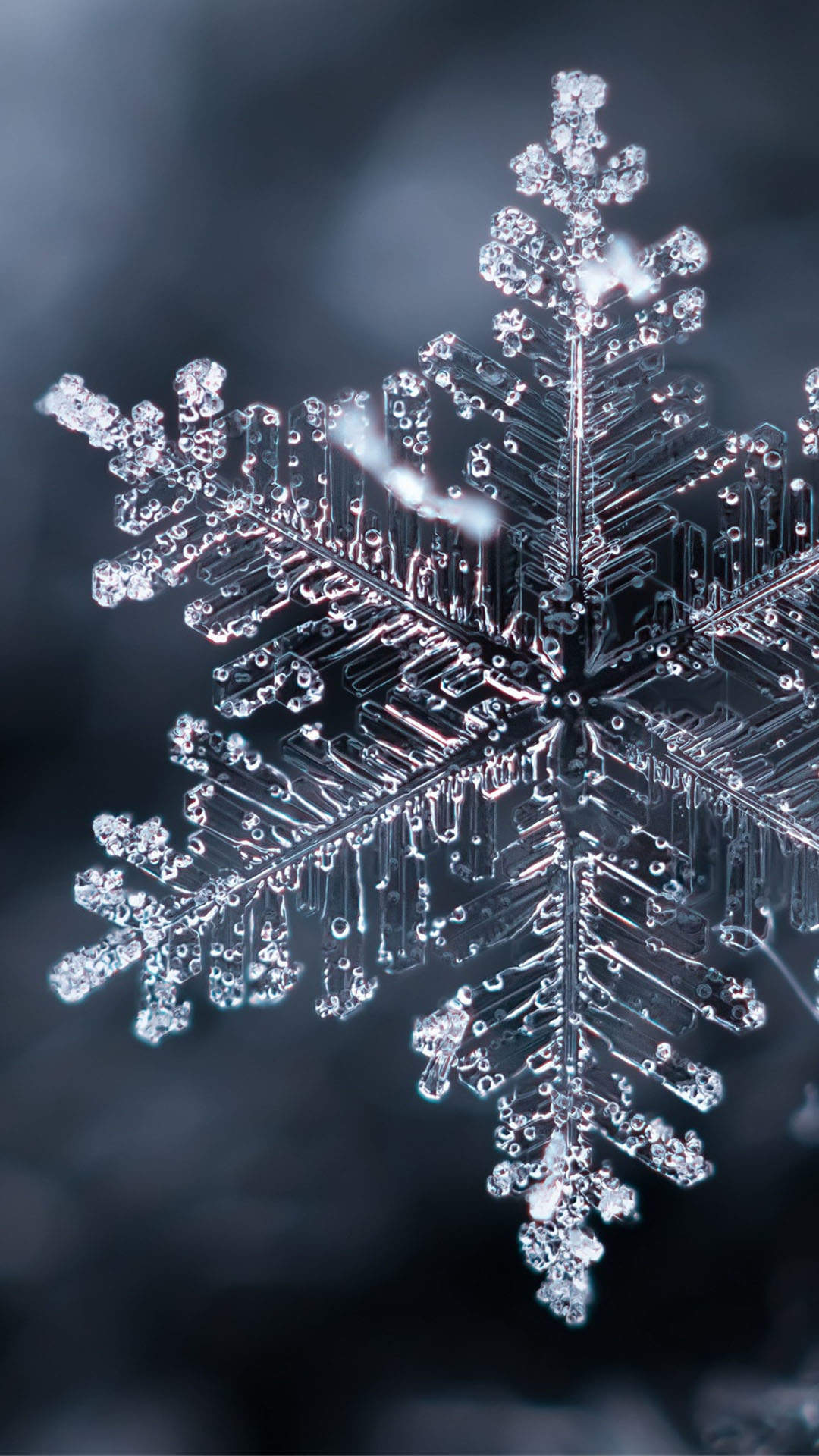 马苏雪景唯美浪漫写真图片图片