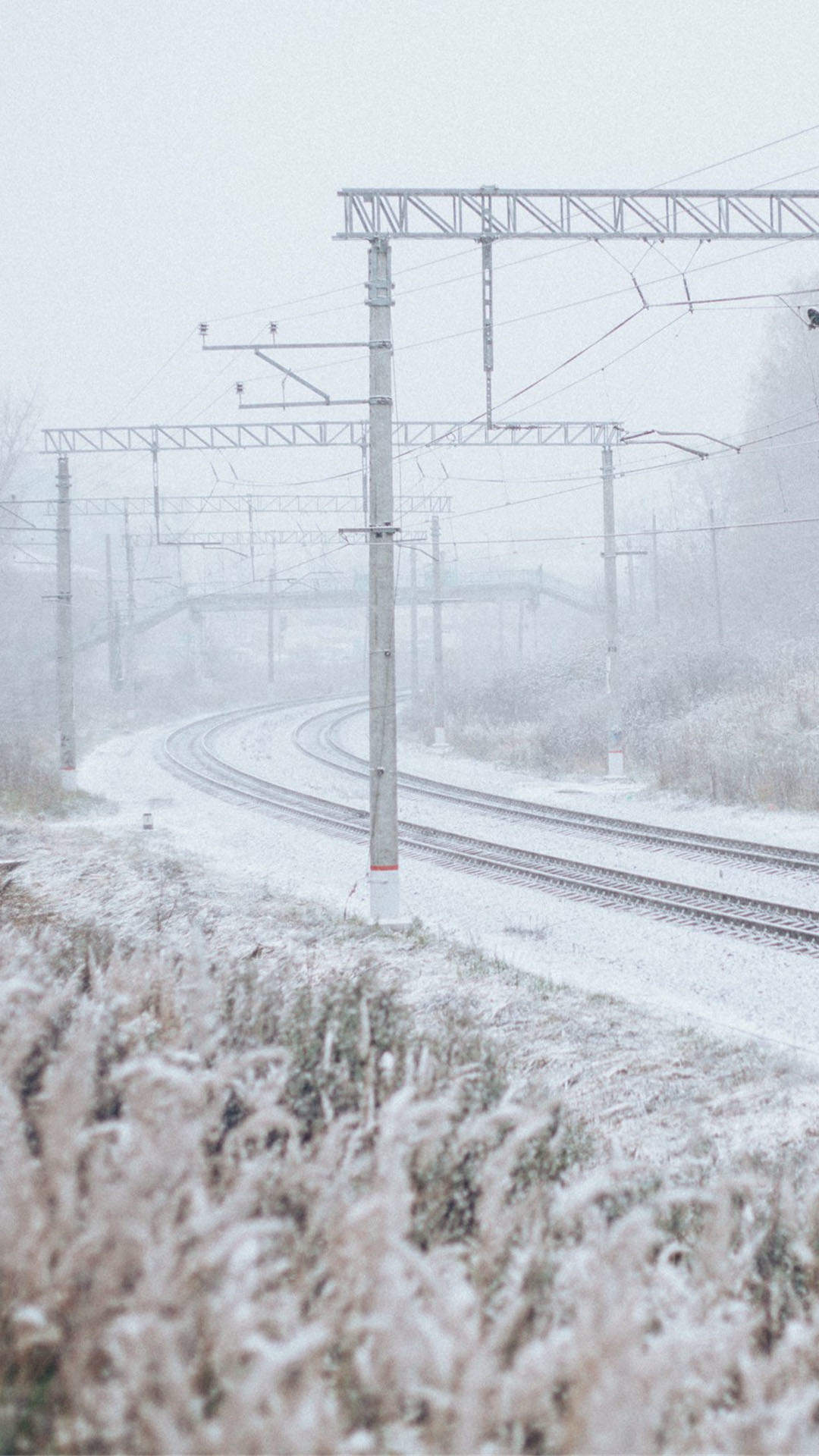 宁心露脐装雪景自拍图片图片