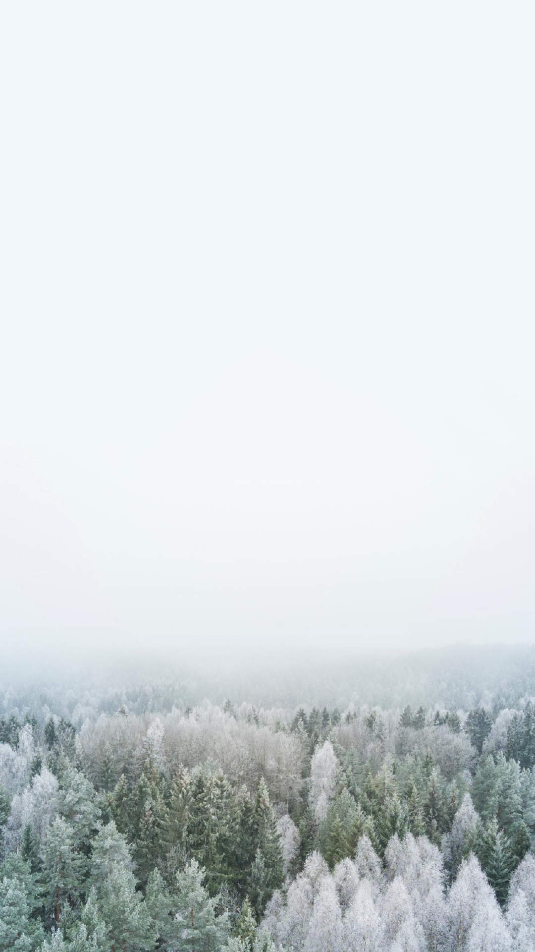 郑秀妍日本函馆冬日雪景唯美写真图片图片