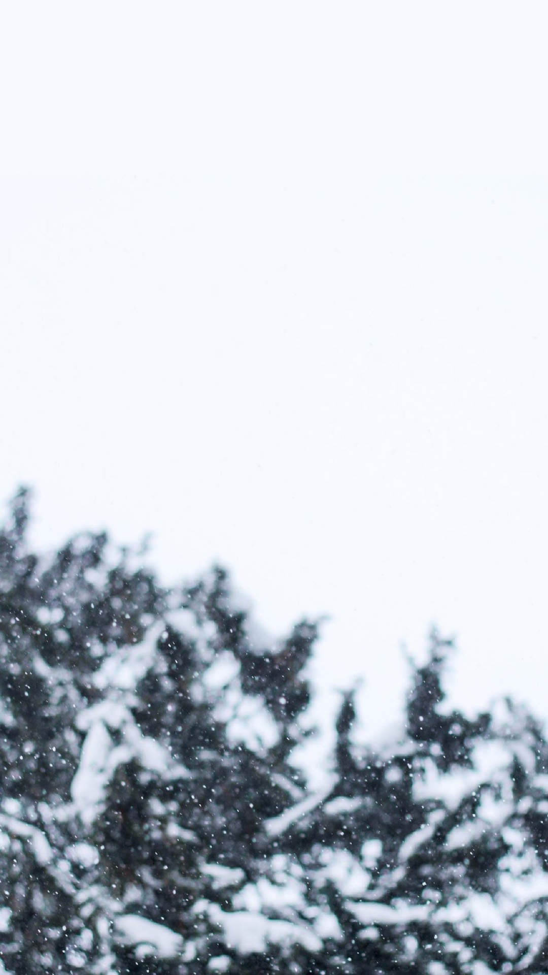 郑秀妍日本函馆冬日雪景唯美写真图片图片