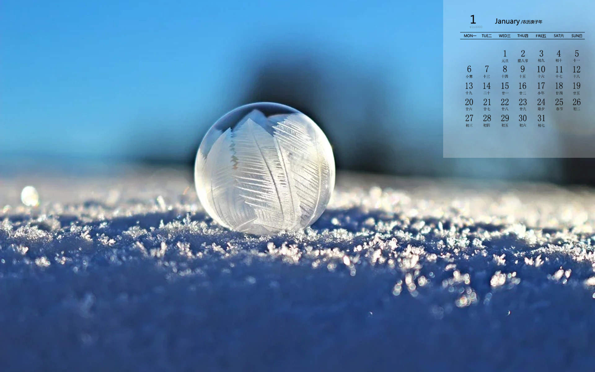 王丽坤清纯靓丽雪景写真图片图片