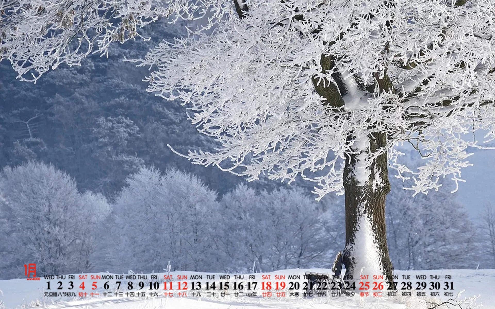 王丽坤清纯靓丽雪景写真图片图片