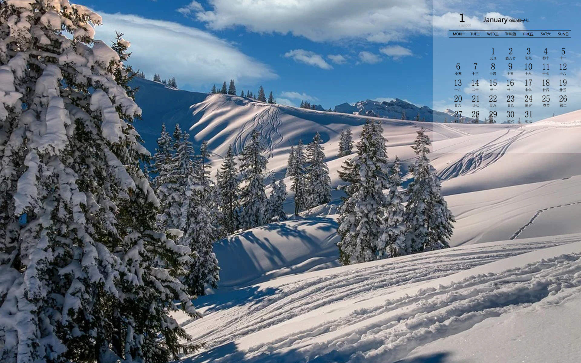 王丽坤清纯靓丽雪景写真图片图片