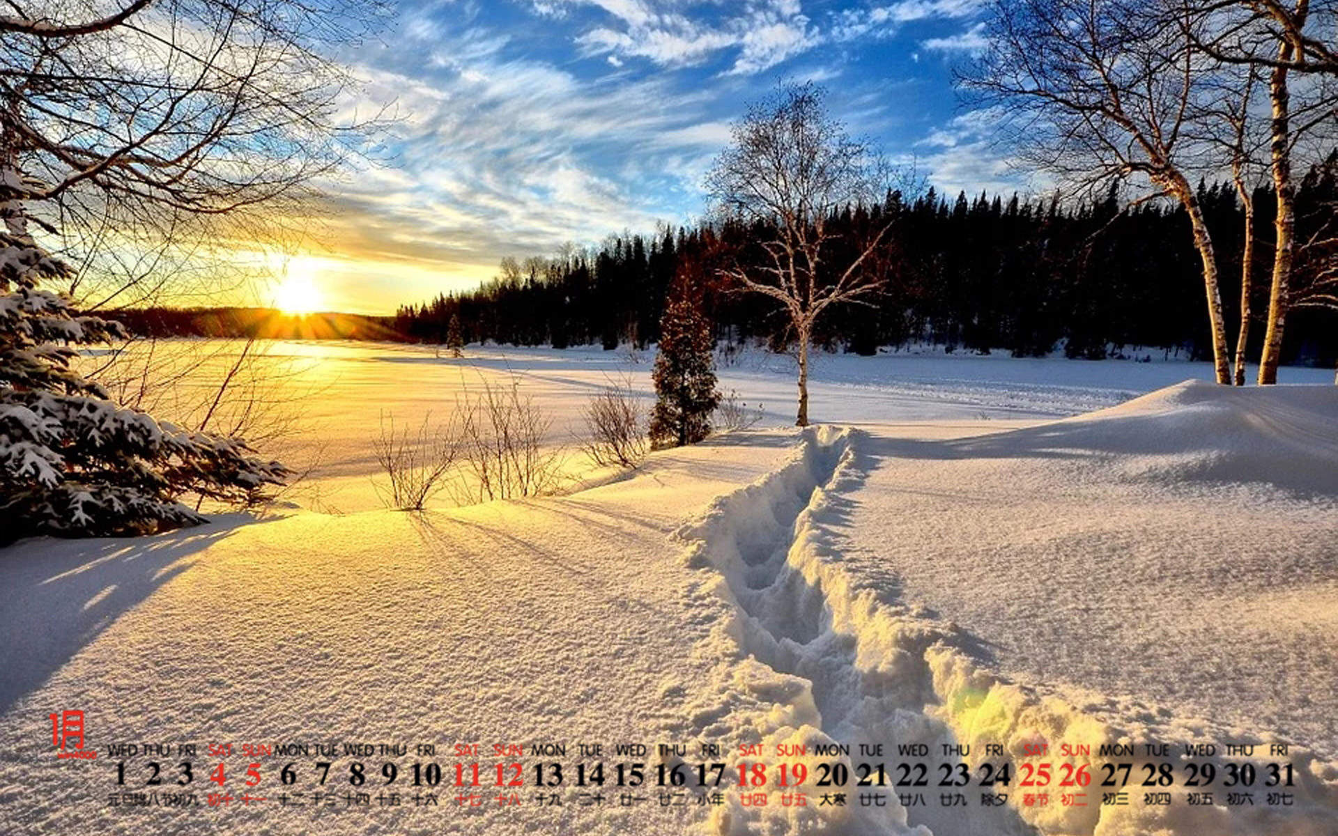 王丽坤清纯靓丽雪景写真图片图片