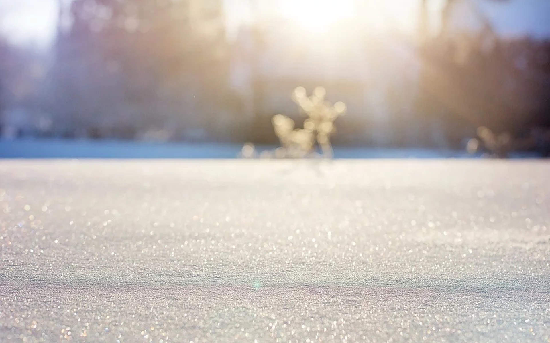 邓伦故宫雪景帅气写真图片图片