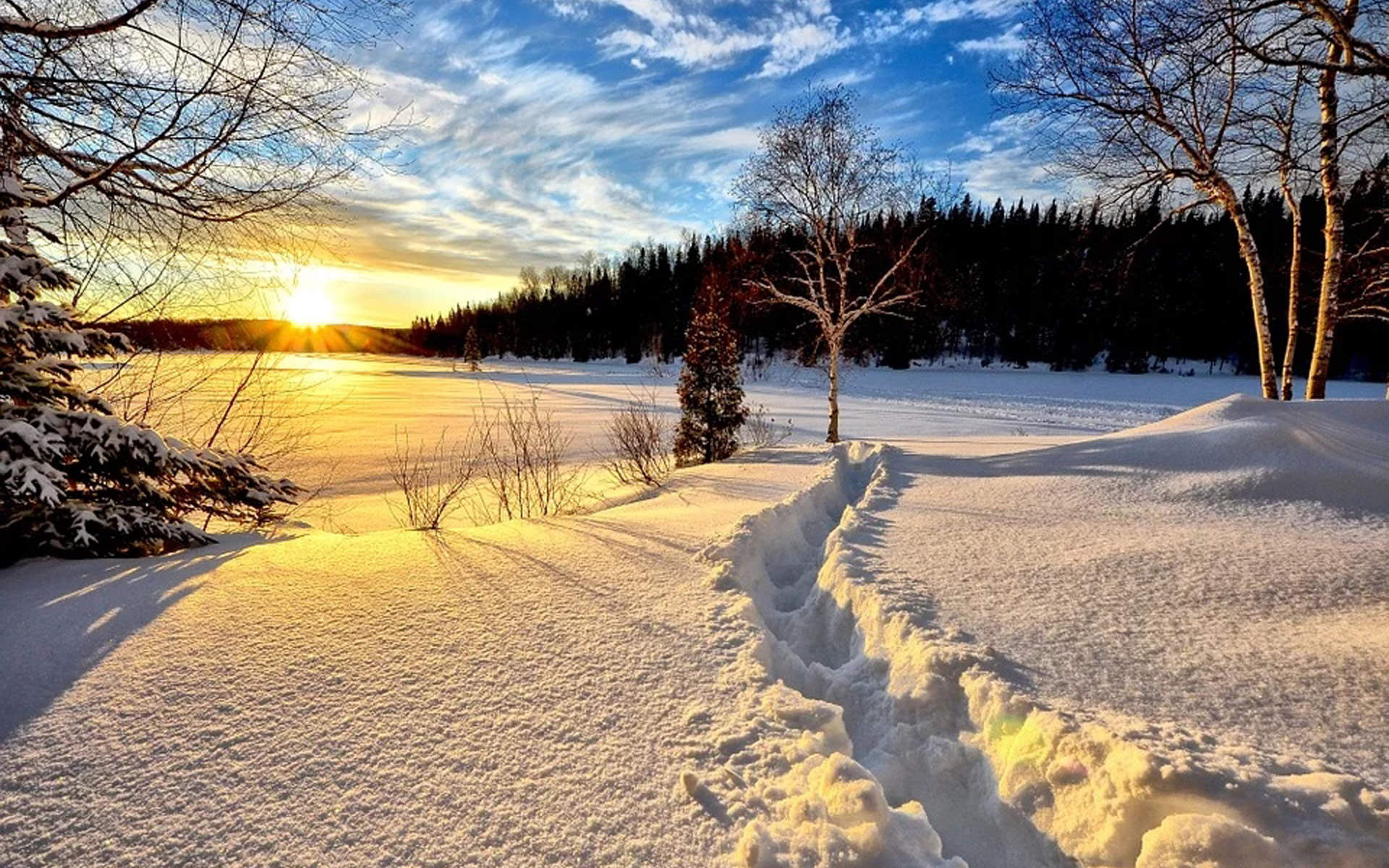 邓伦故宫雪景帅气写真图片图片