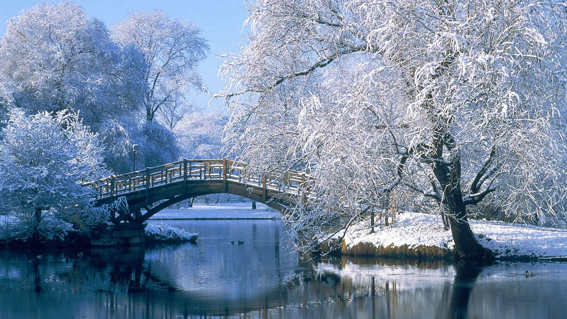 冬季雪景唯美高清手机壁纸图片
