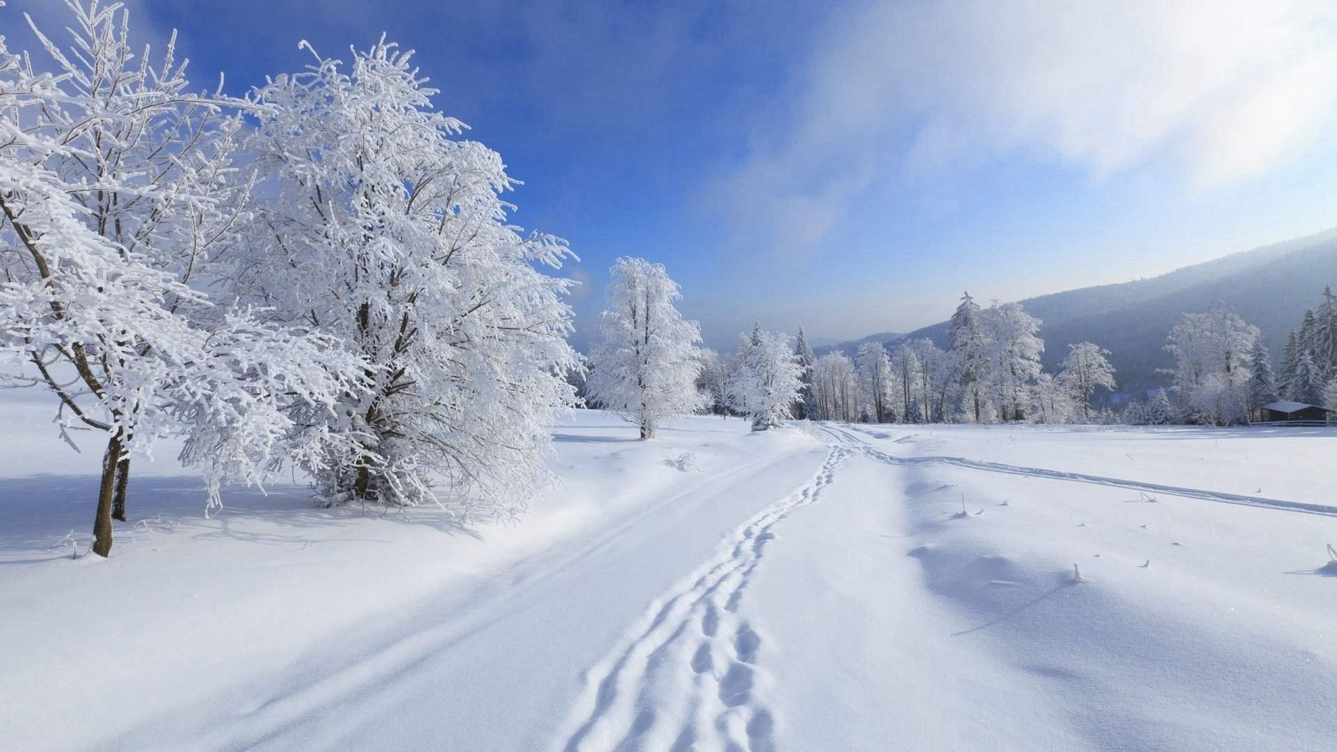 王丽坤清纯靓丽雪景写真图片图片
