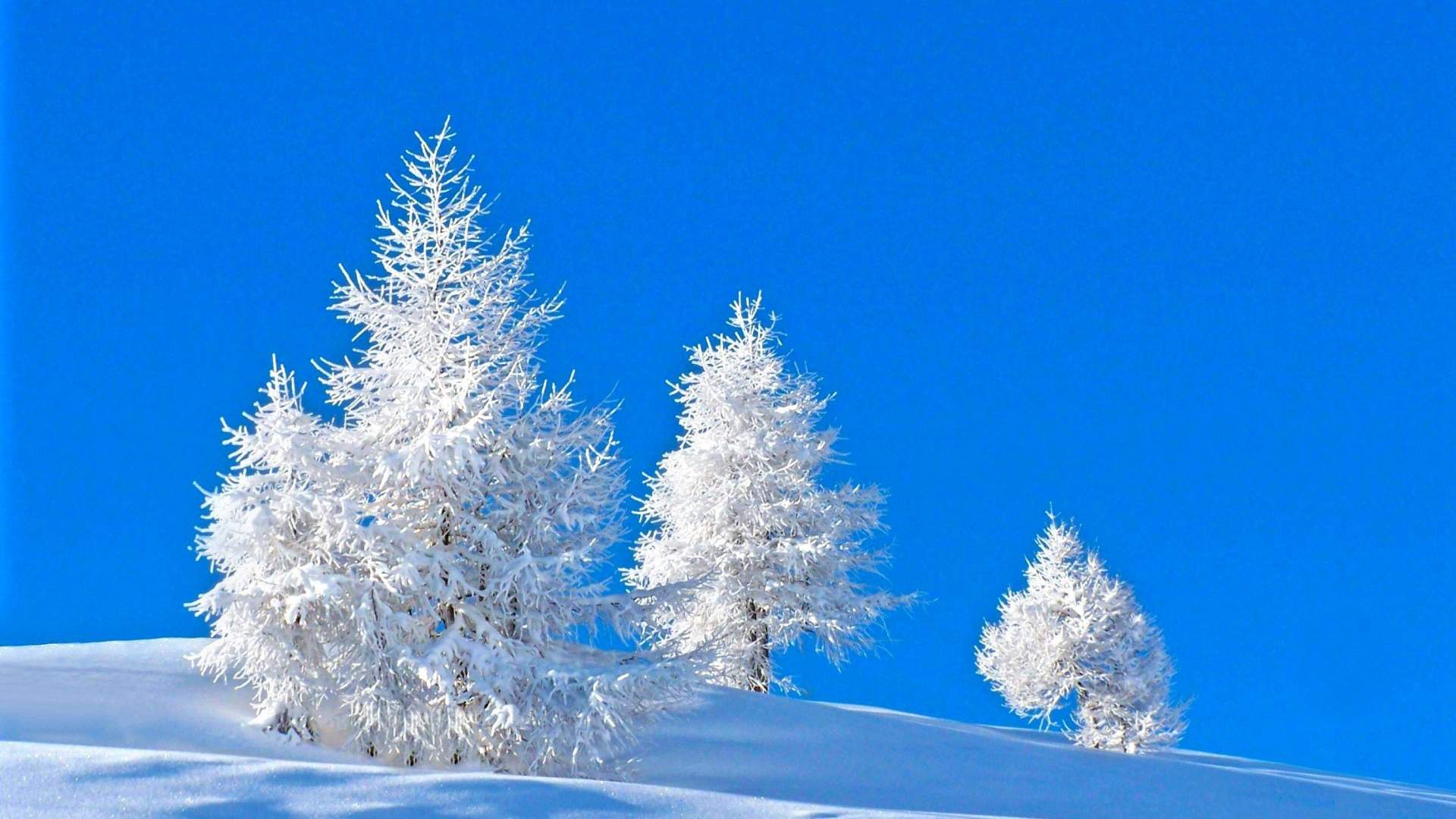 宁心露脐装雪景自拍图片图片