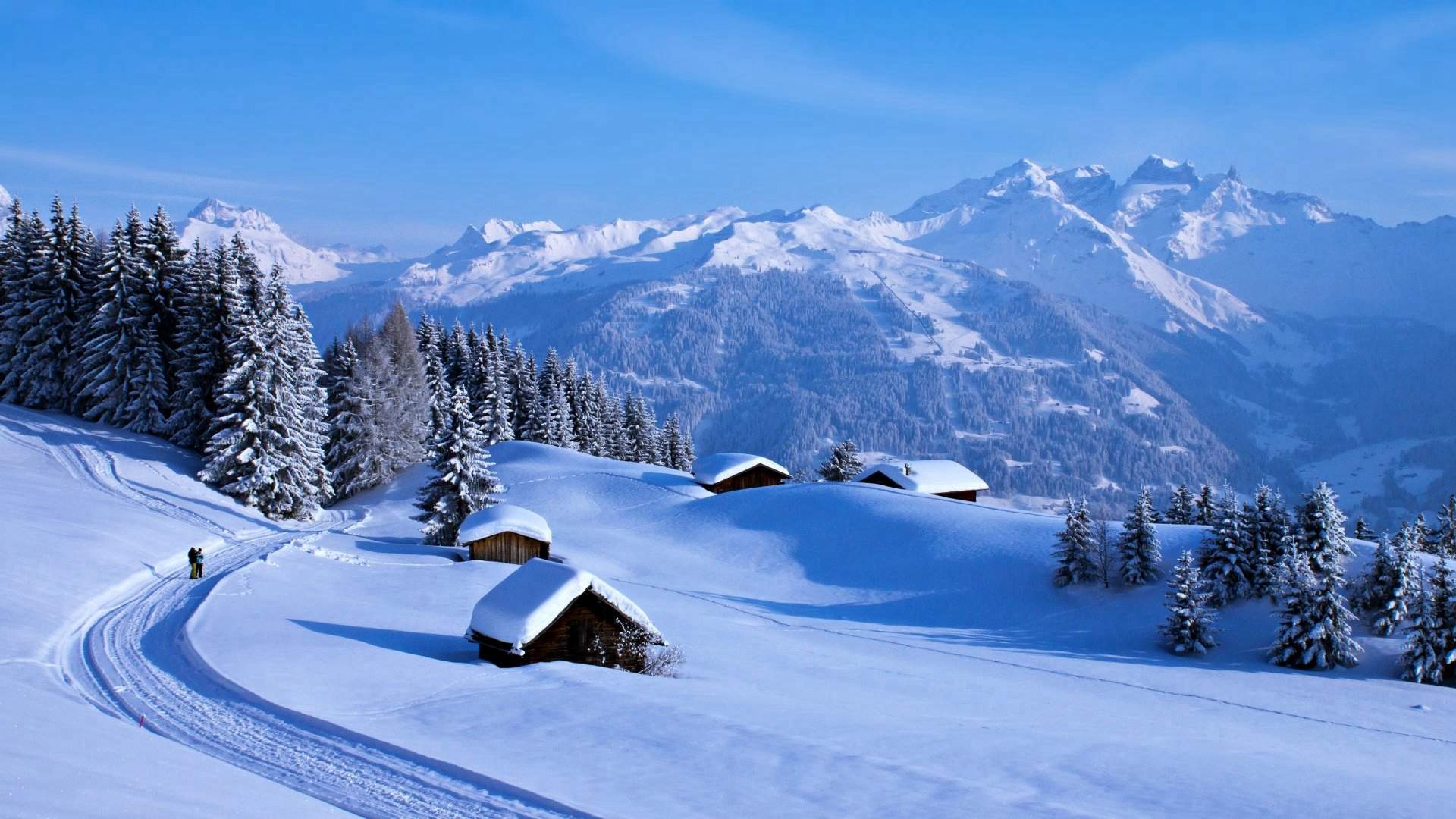 宁心露脐装雪景自拍图片图片