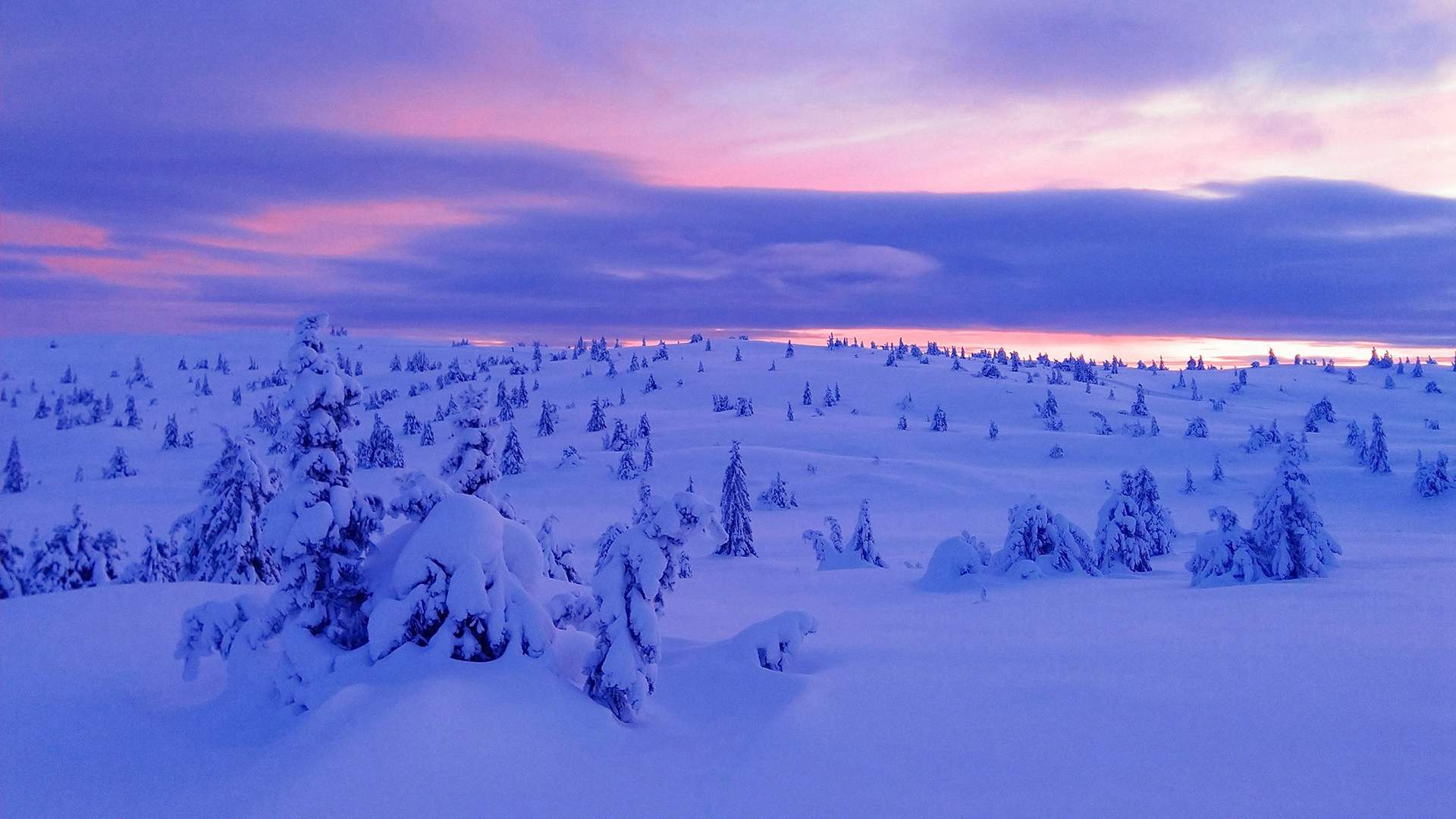 邓伦故宫雪景帅气写真图片图片