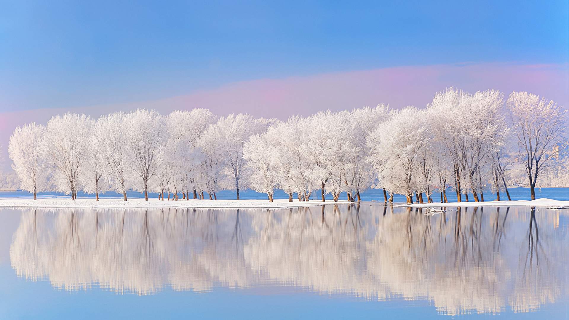 宁心露脐装雪景自拍图片图片