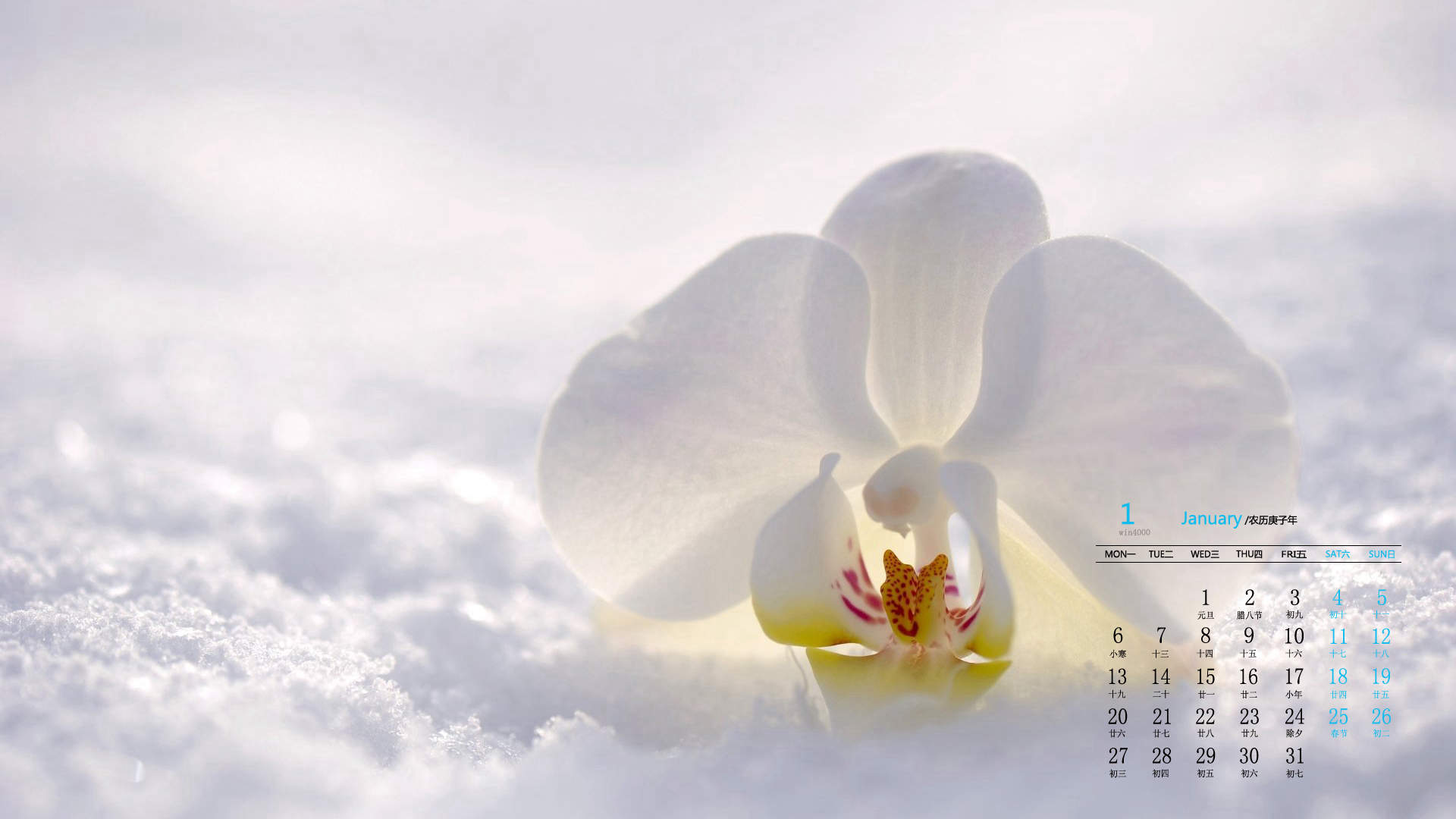 宁心露脐装雪景自拍图片图片
