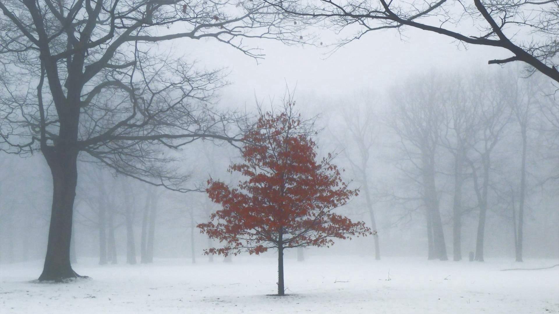 冬季雪景唯美高清手机壁纸图片