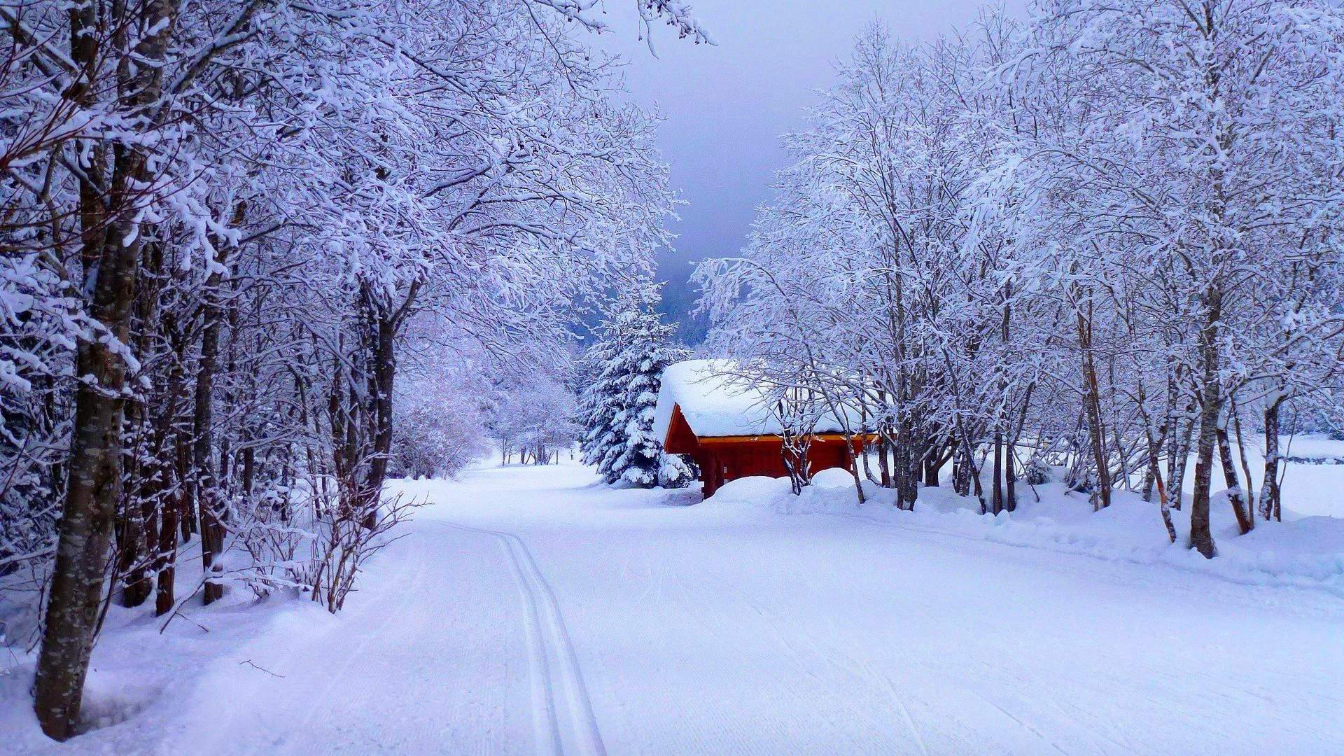 宁心露脐装雪景自拍图片图片