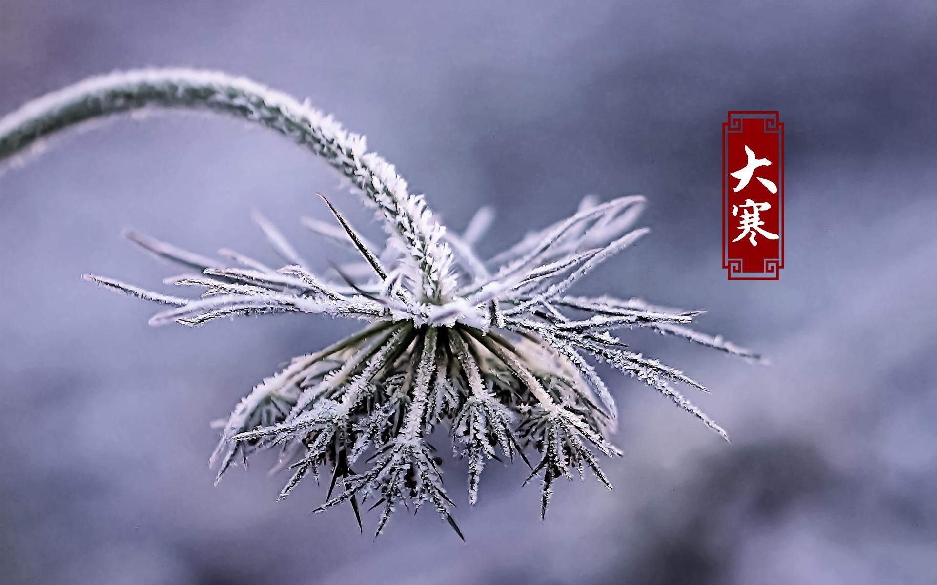 电脑壁纸高清图片