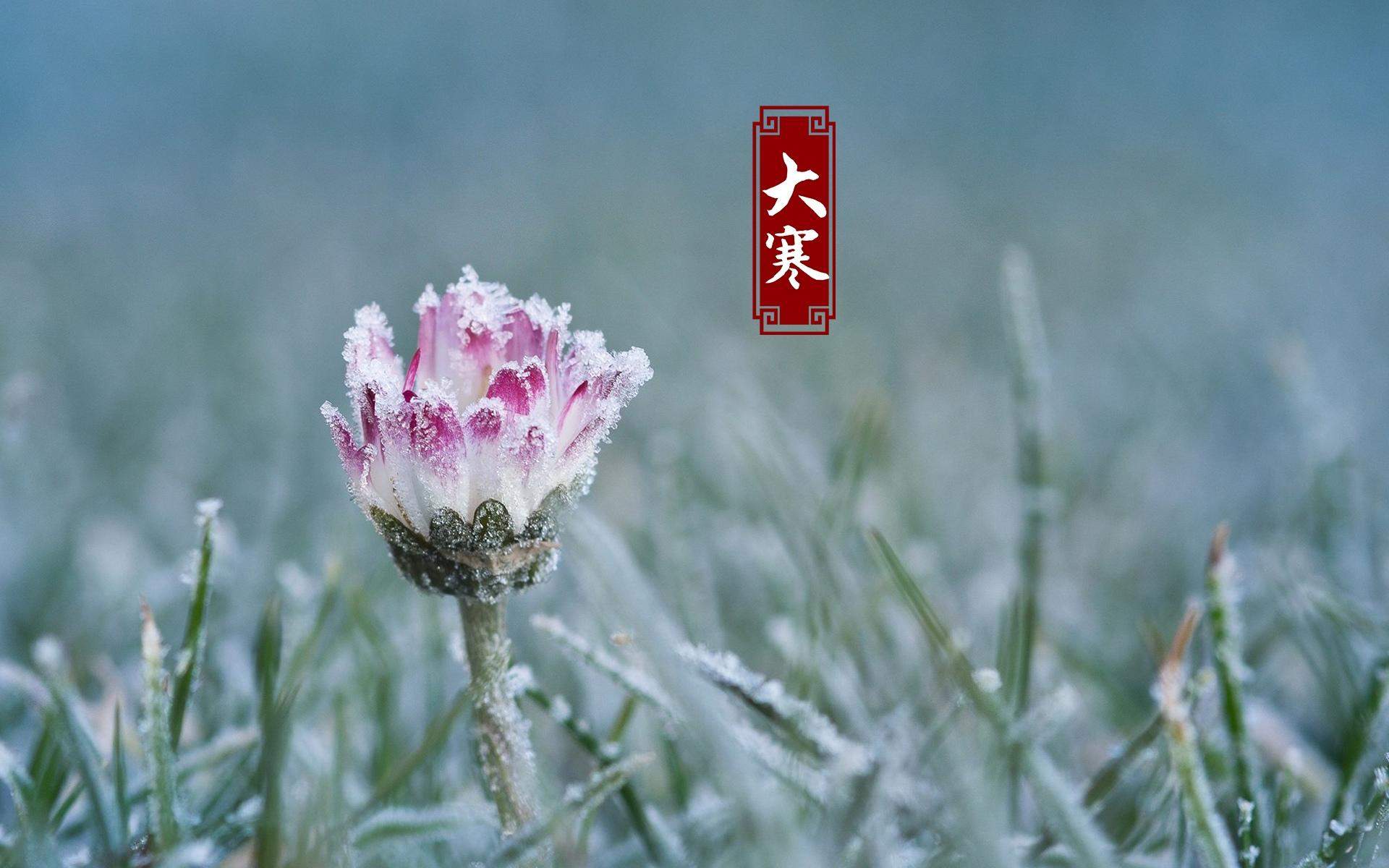 电脑壁纸高清图片