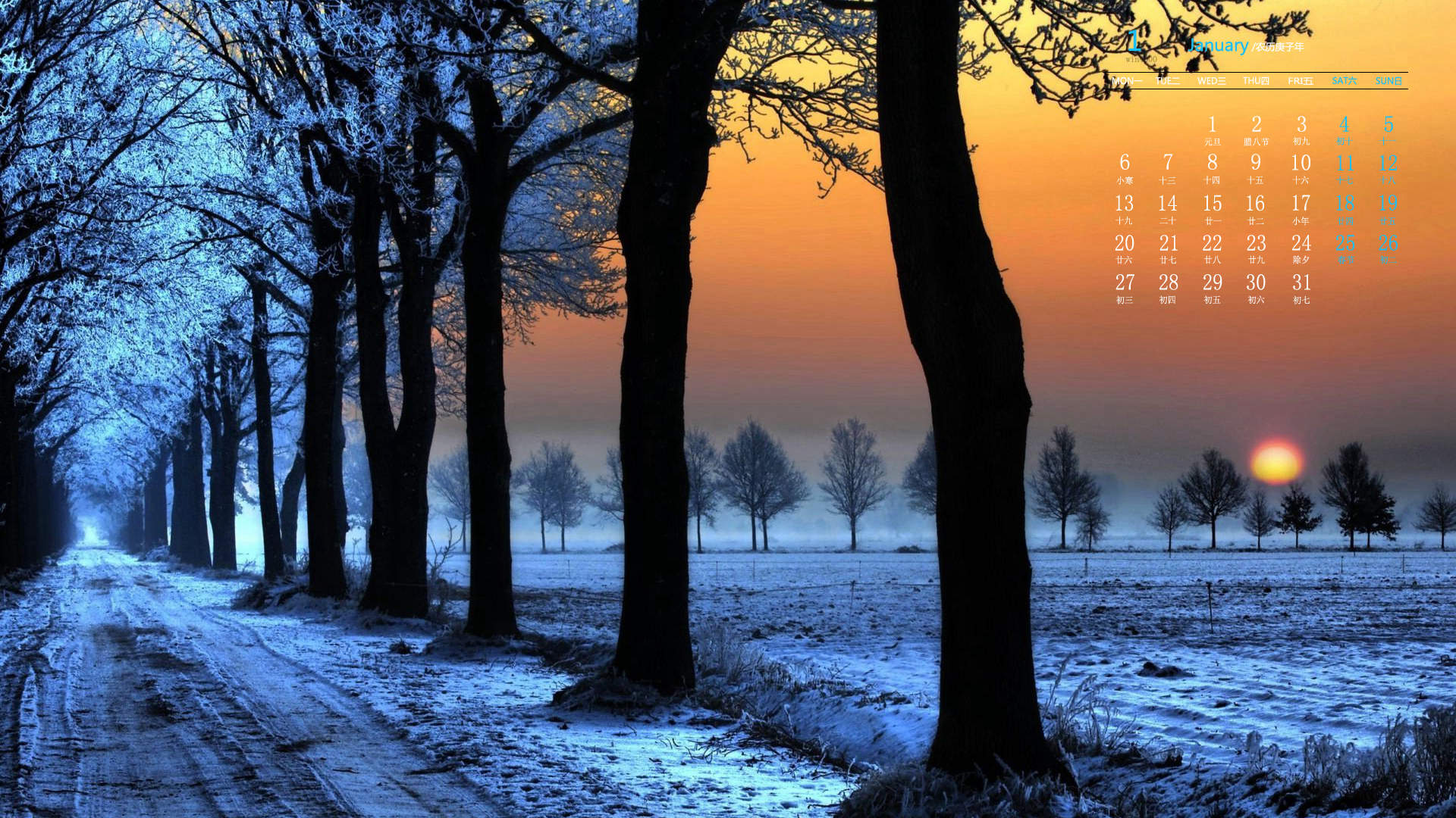 宁心露脐装雪景自拍图片图片