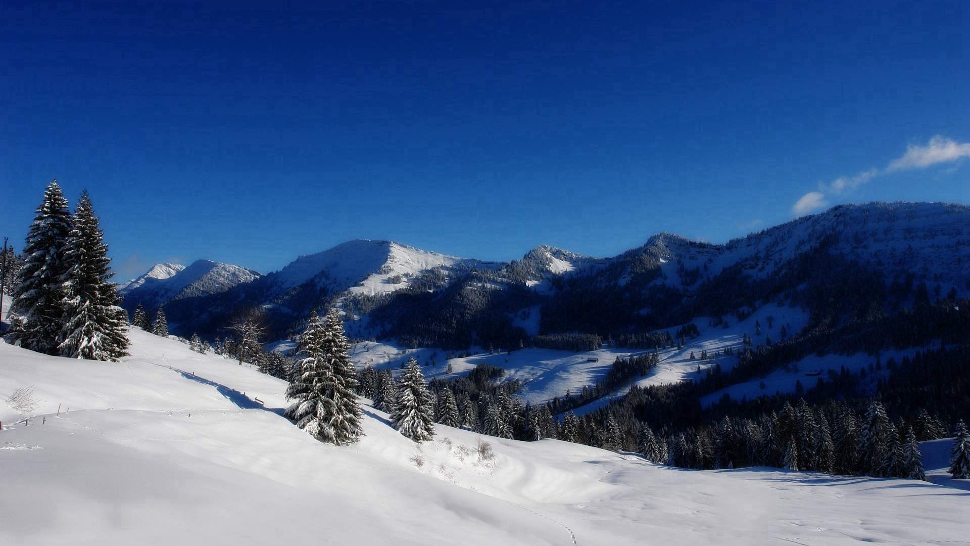 冯若绮清新雪景写真图片图片