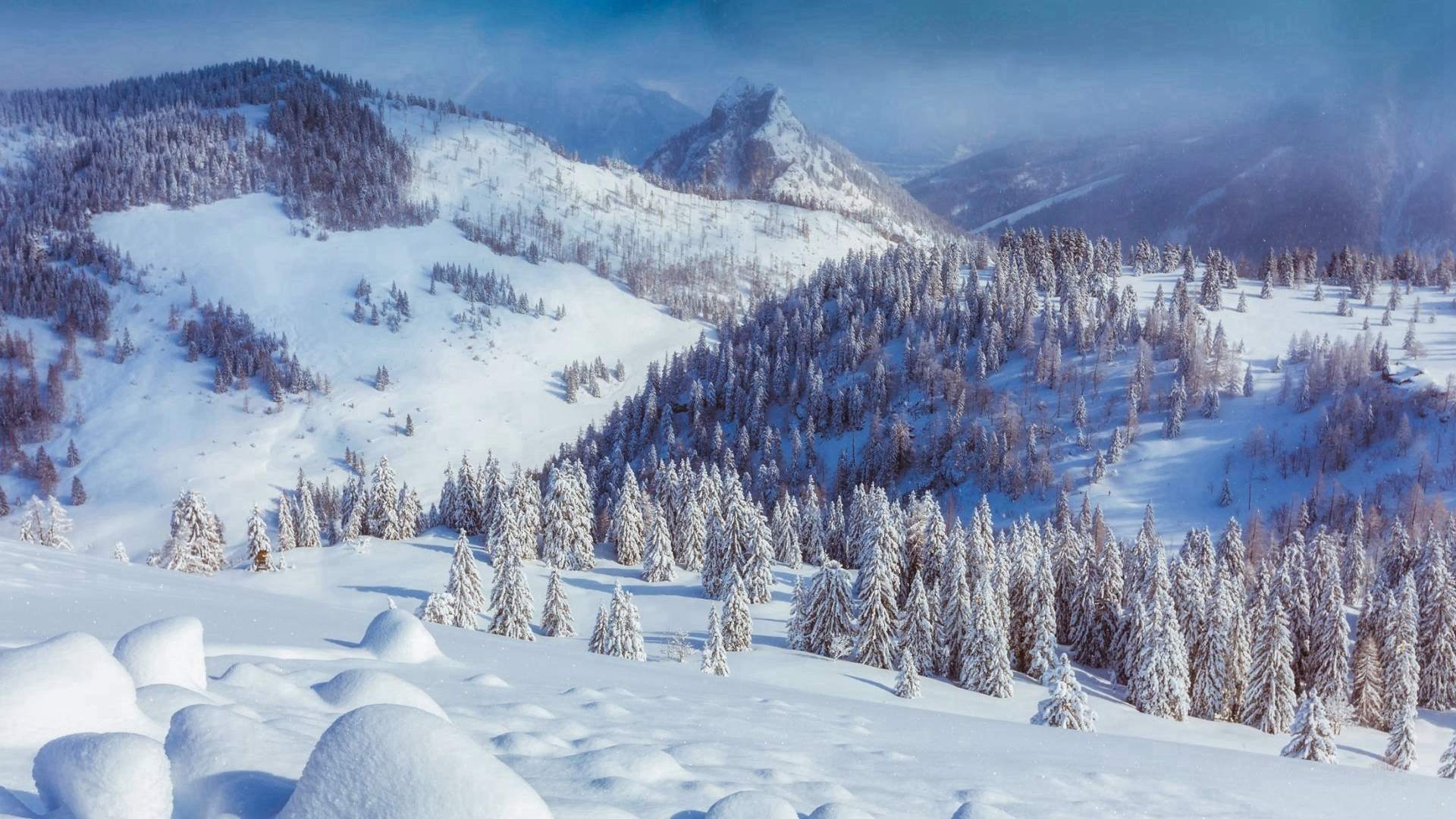 冯若绮清新雪景写真图片图片