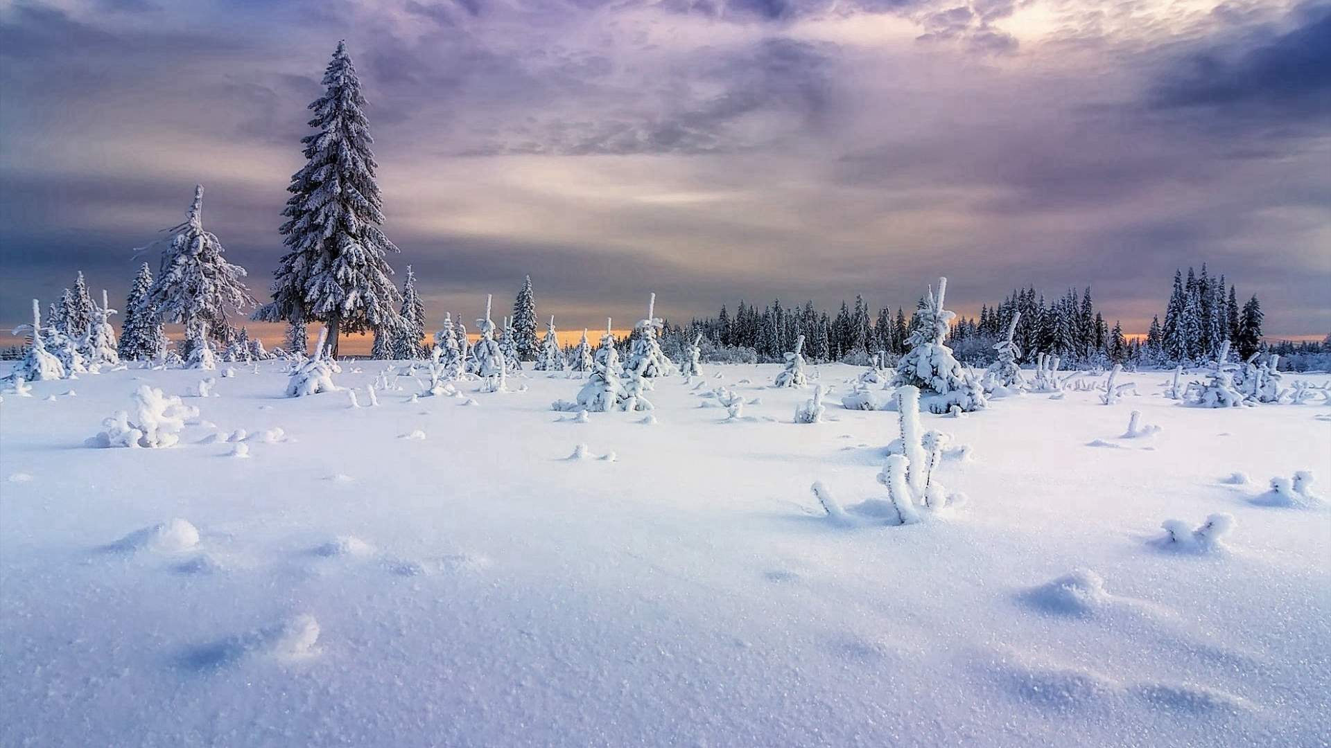 宁心露脐装雪景自拍图片图片