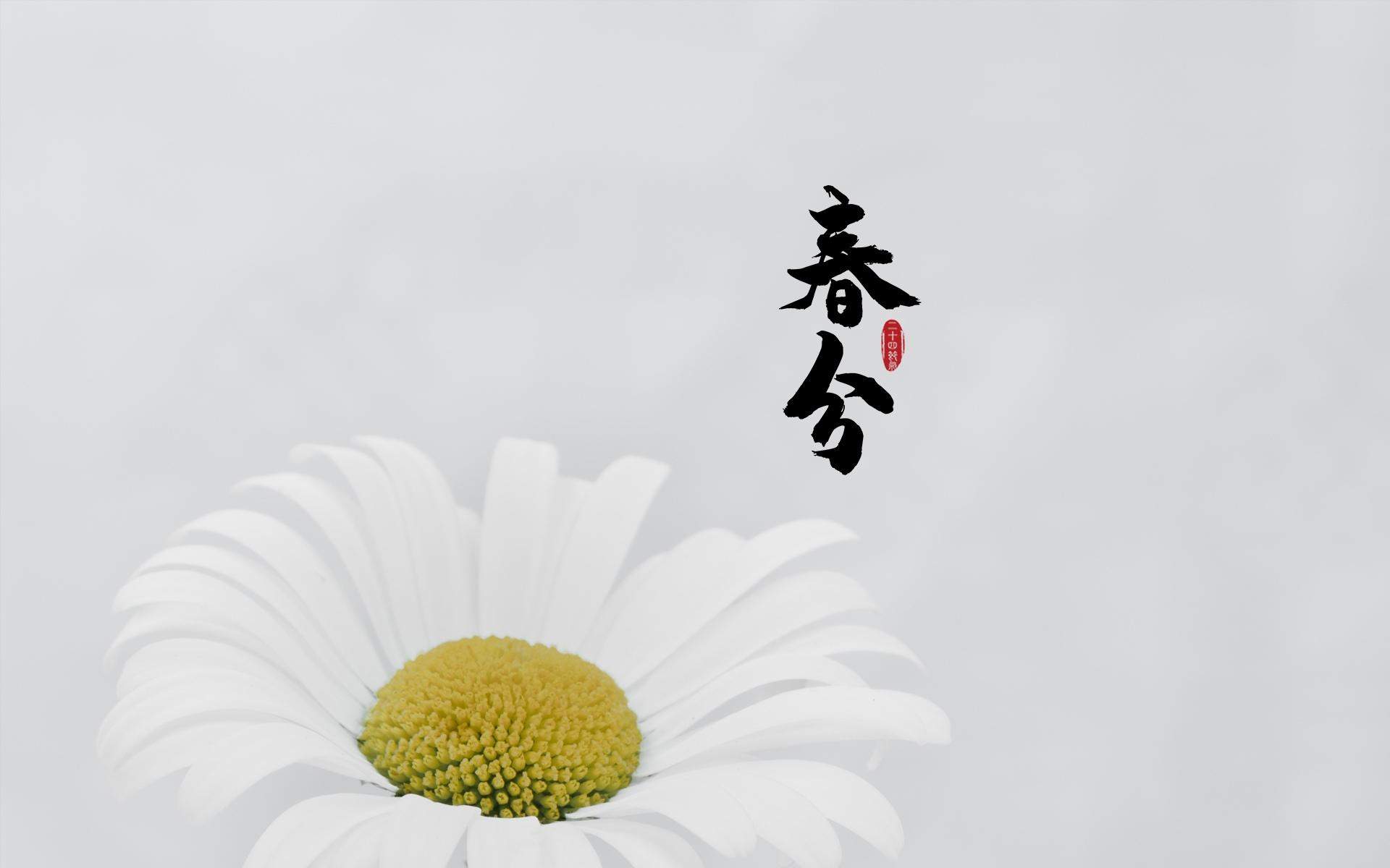 春分图片素材高清电脑桌面壁纸图片
