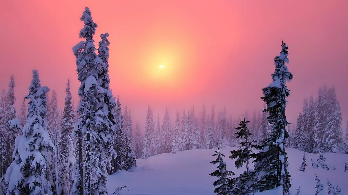 冯若绮清新雪景写真图片图片