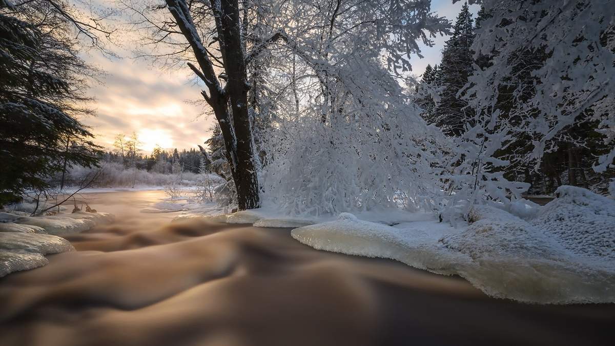 王丽坤清纯靓丽雪景写真图片图片
