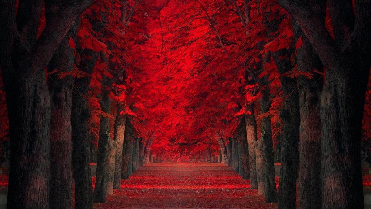 黄昏夜景头像图片 唯美风景图片图片