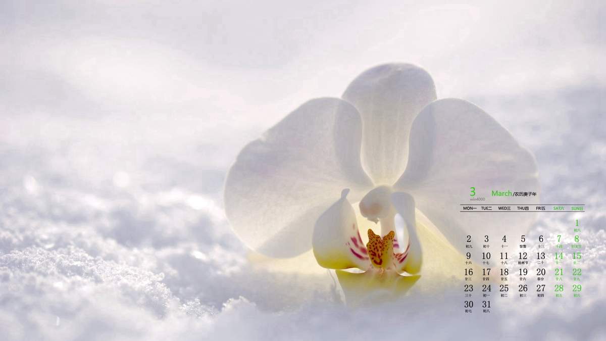 邓伦故宫雪景帅气写真图片图片