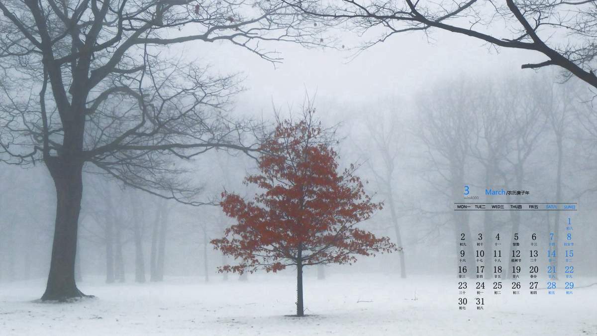 邓伦故宫雪景帅气写真图片图片