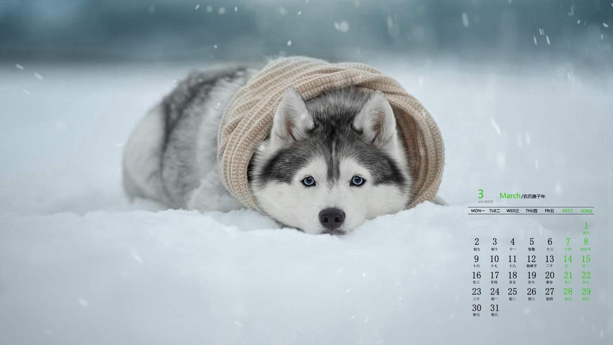 王丽坤清纯靓丽雪景写真图片图片