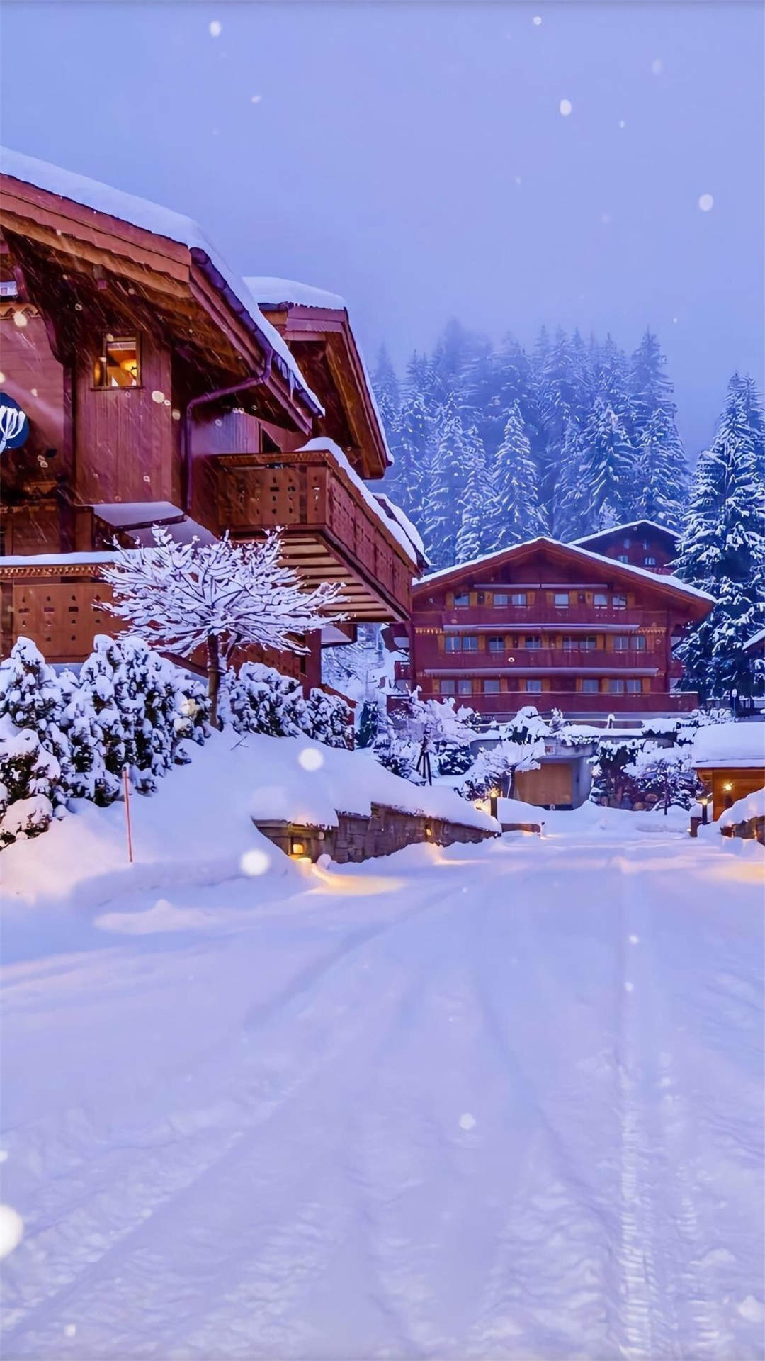 郑秀妍日本函馆冬日雪景唯美写真图片图片