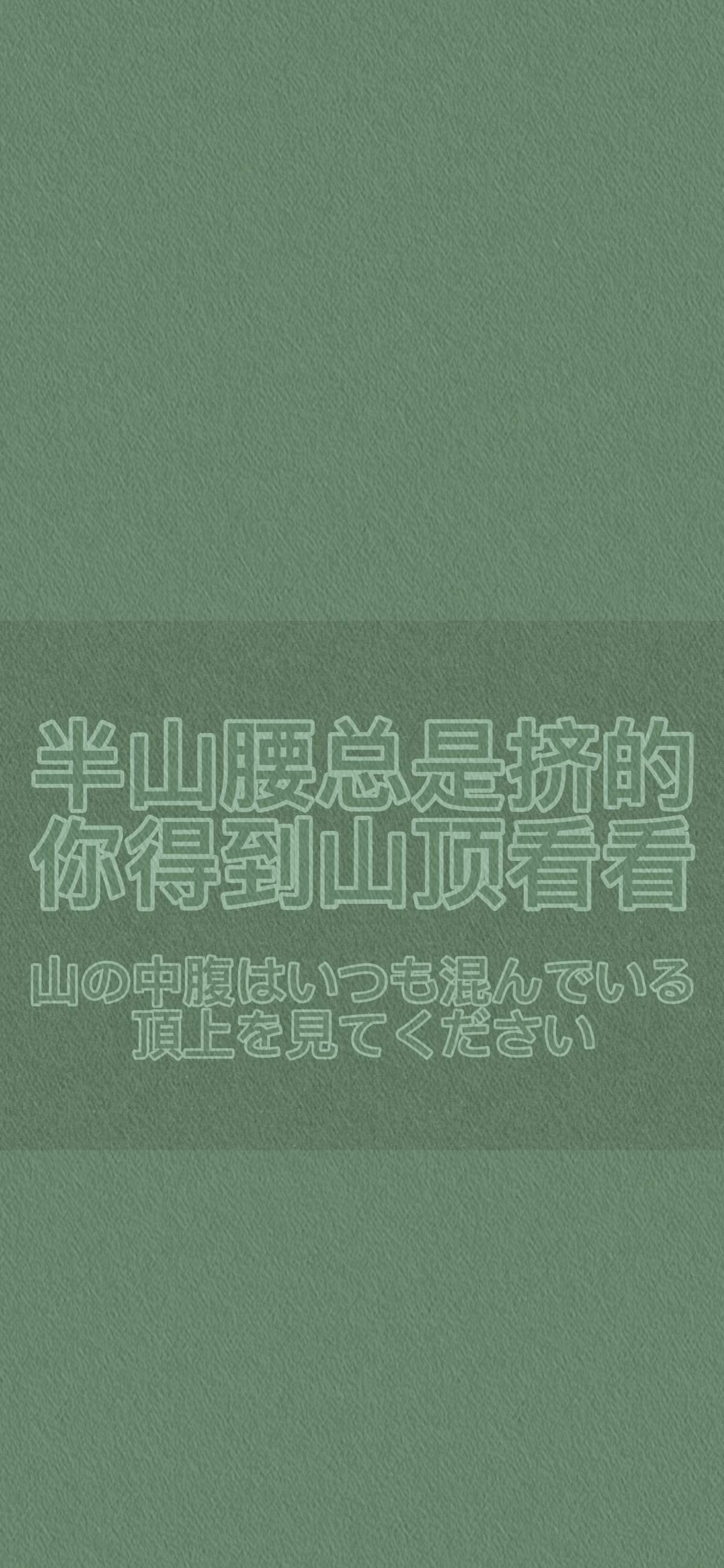 清新护眼绿色植物图片手机壁纸图片