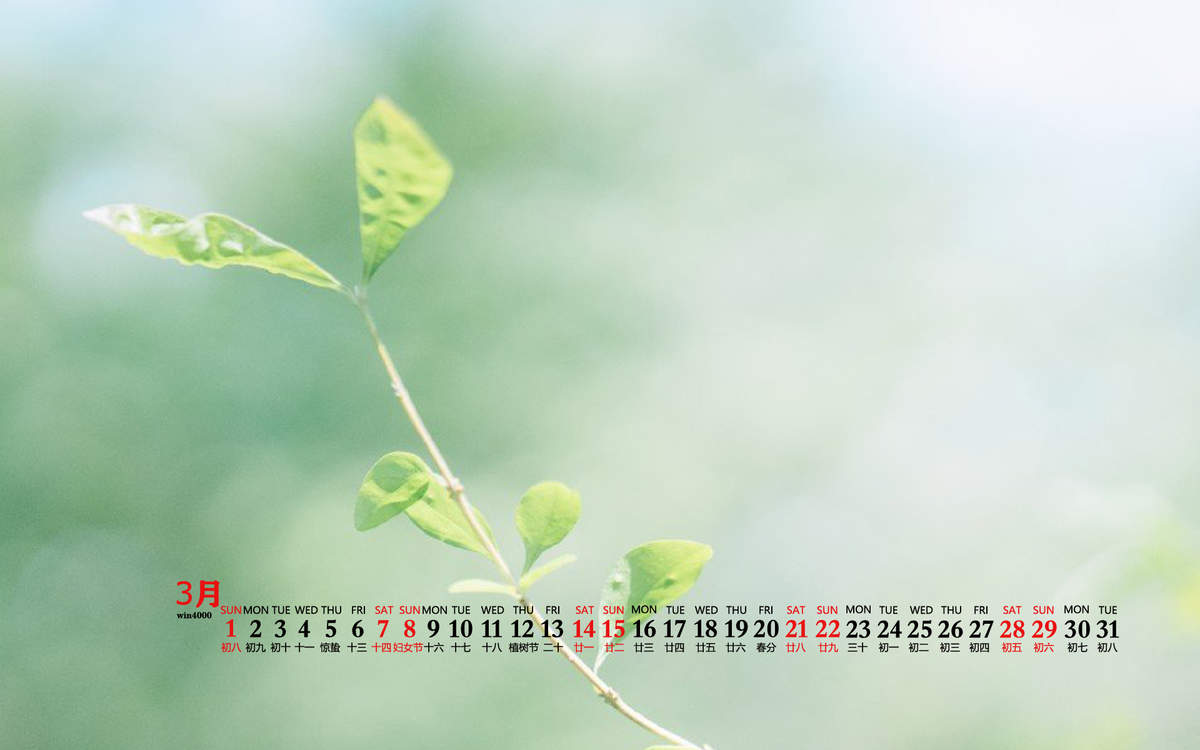 美女明星赵小棠电脑桌面壁纸图片