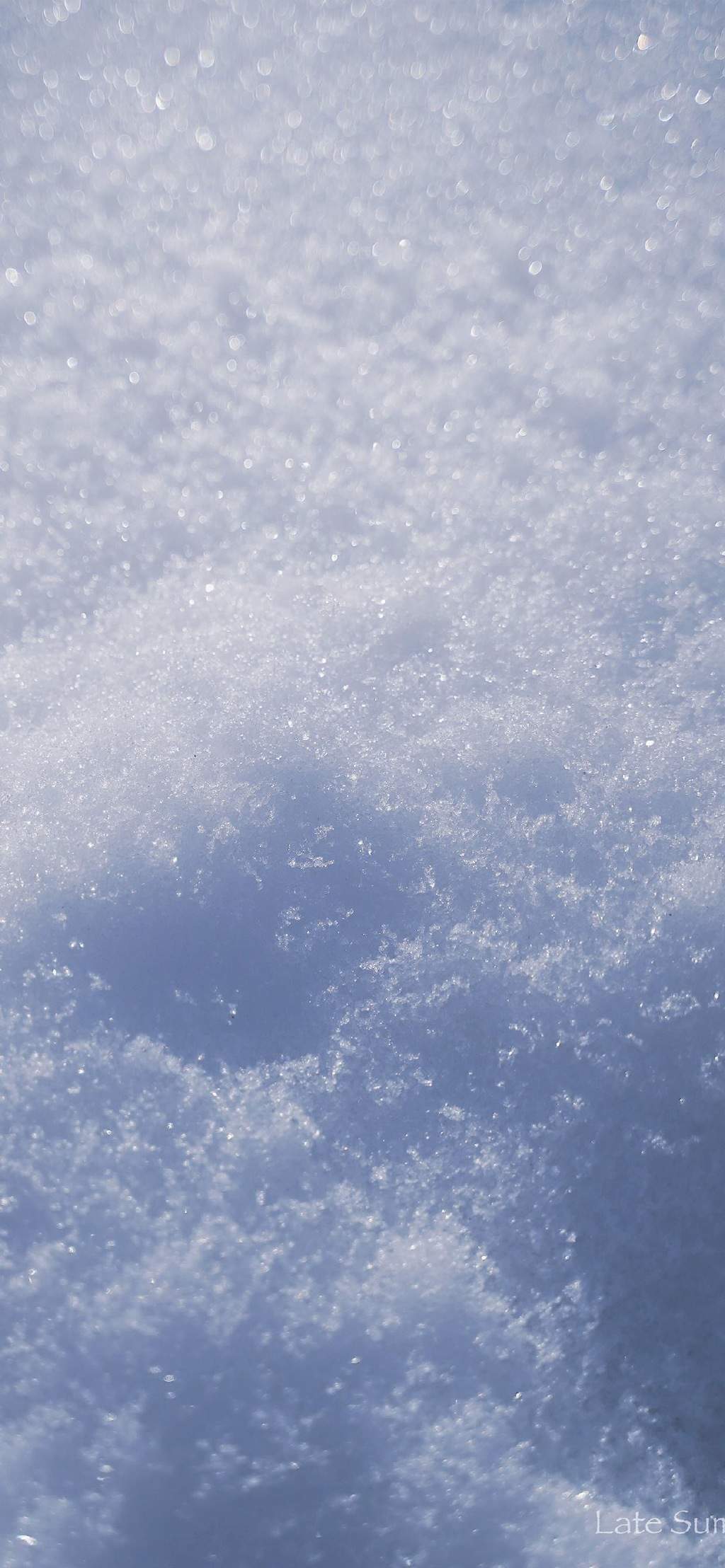 宁心露脐装雪景自拍图片图片