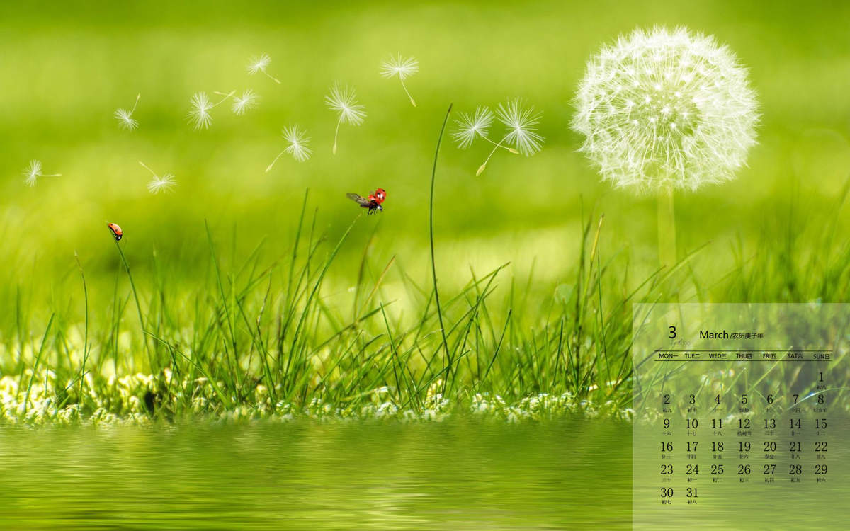 孟子义清新淡雅写真图片图片