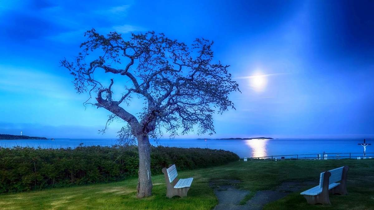 杨祐宁唯美意境写真图片图片