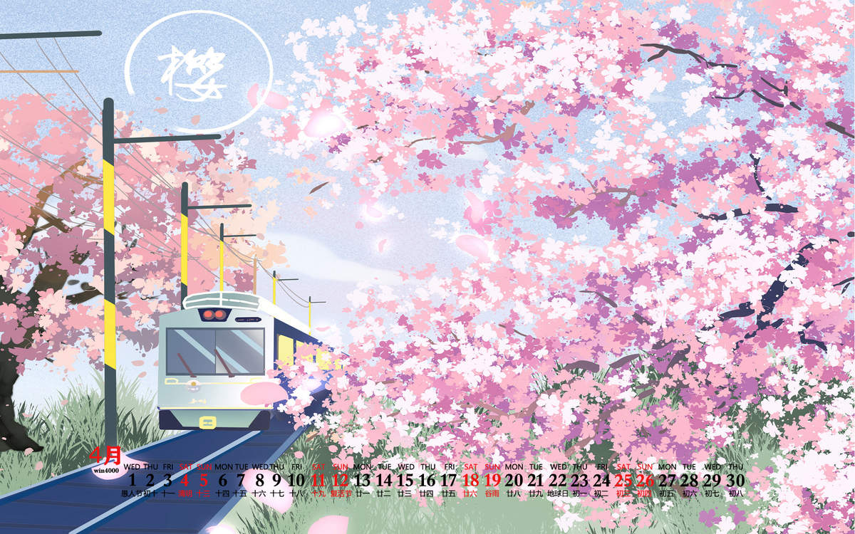 樱花图片图片