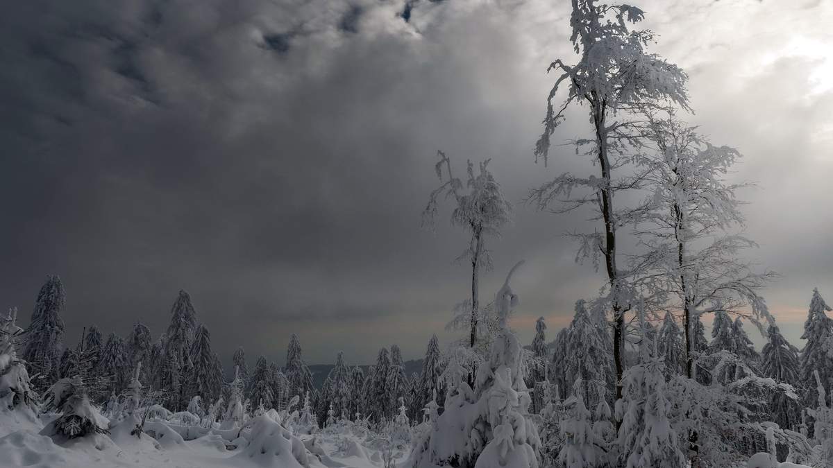 王丽坤清纯靓丽雪景写真图片图片