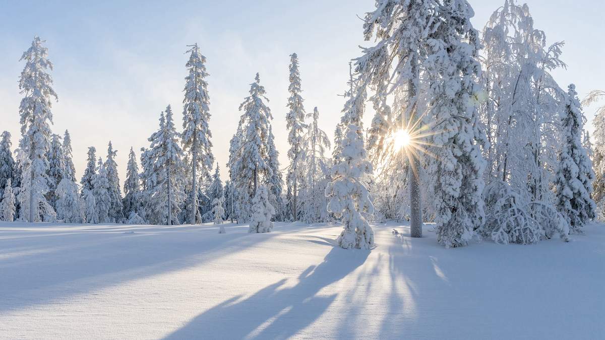 邓伦故宫雪景帅气写真图片图片