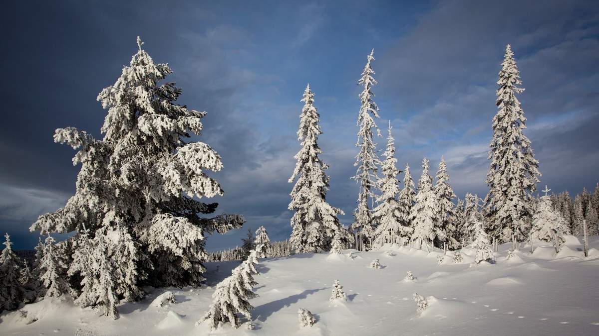 邓伦故宫雪景帅气写真图片图片